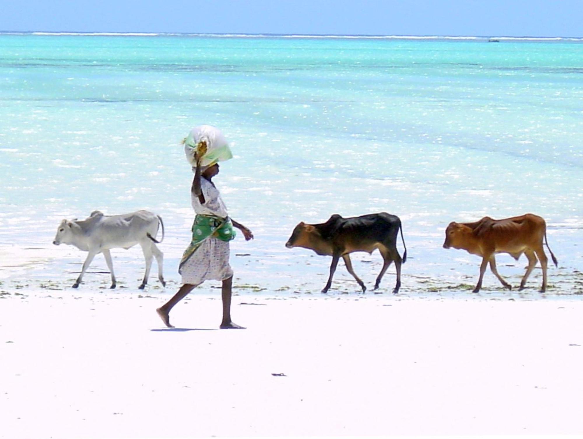 Villa Bahati Zanzibar Jambiani  Dış mekan fotoğraf